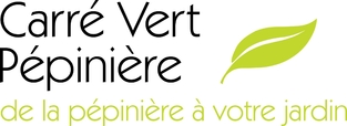 JPG HD Cadré